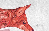 在线DDOS平台攻击